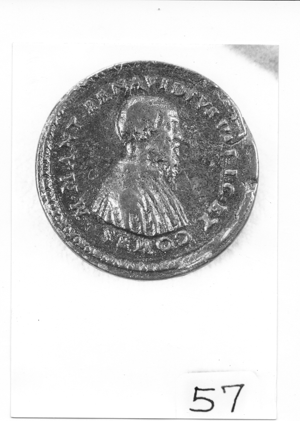 ritratto d'uomo di profilo (medaglia) di Martino da Bergamo (sec. XVI)
