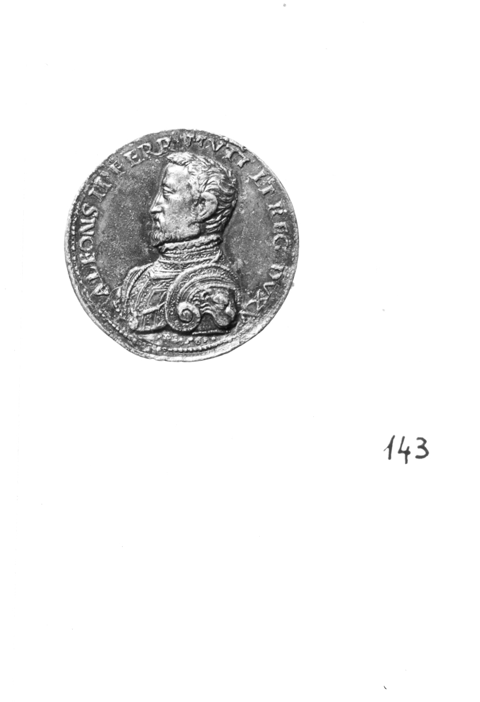 ritratto d'uomo di profilo (medaglia) di Poggini Domenico (attribuito) (sec. XVI)