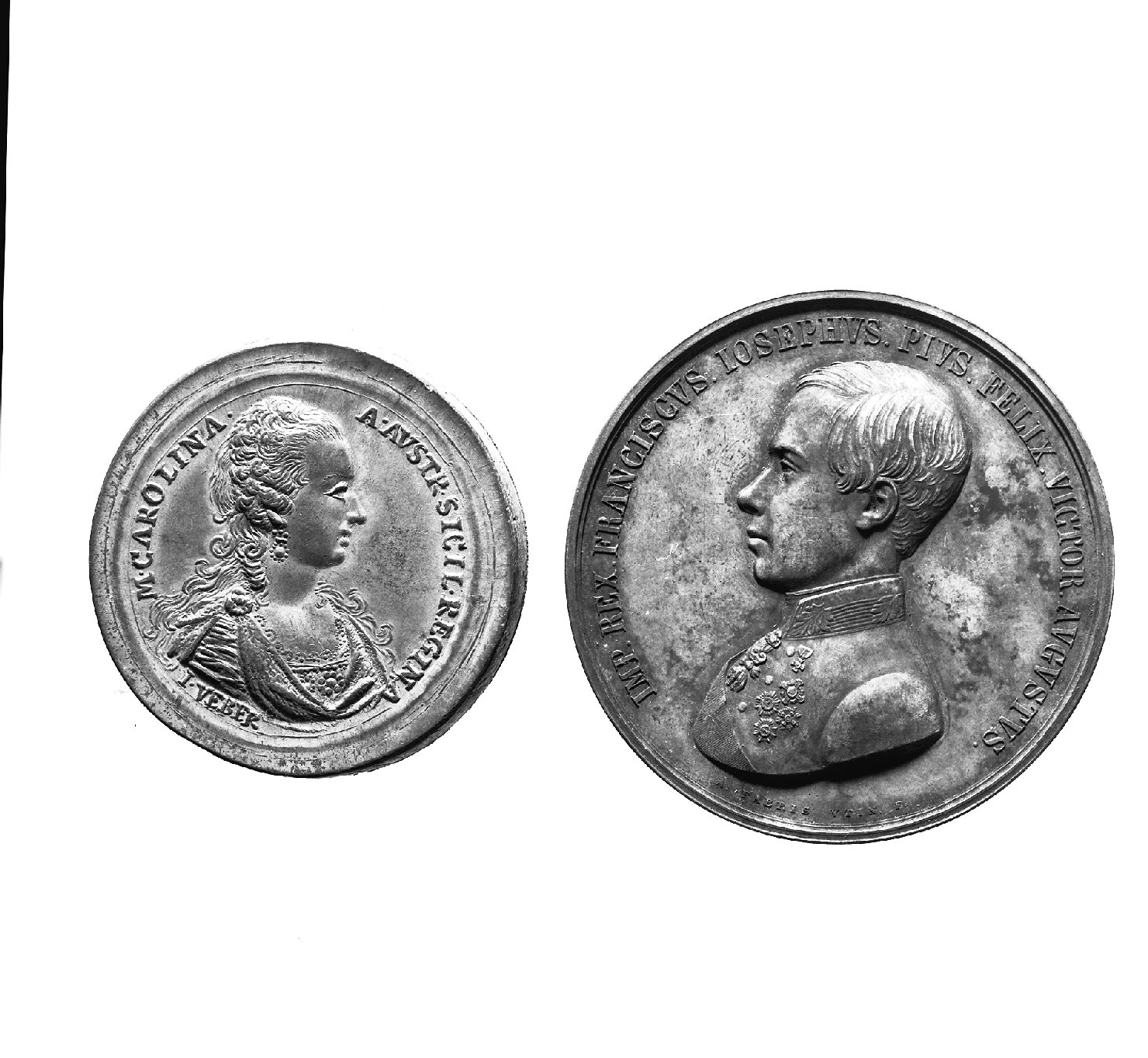 Francesco Giuseppe, ritratto d'uomo di profilo (medaglia, elemento d'insieme) - ambito dalmata (seconda metà sec. XIX)