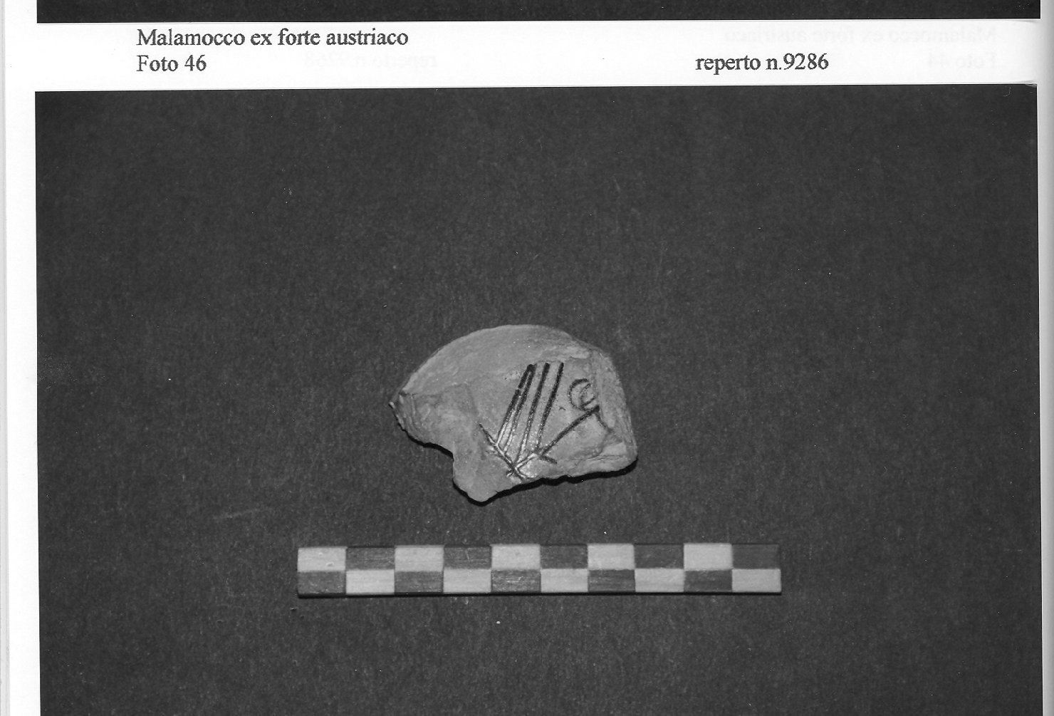 ciotola, frammento - ambito veneto (fine/inizio secc. XIII/ XIV)