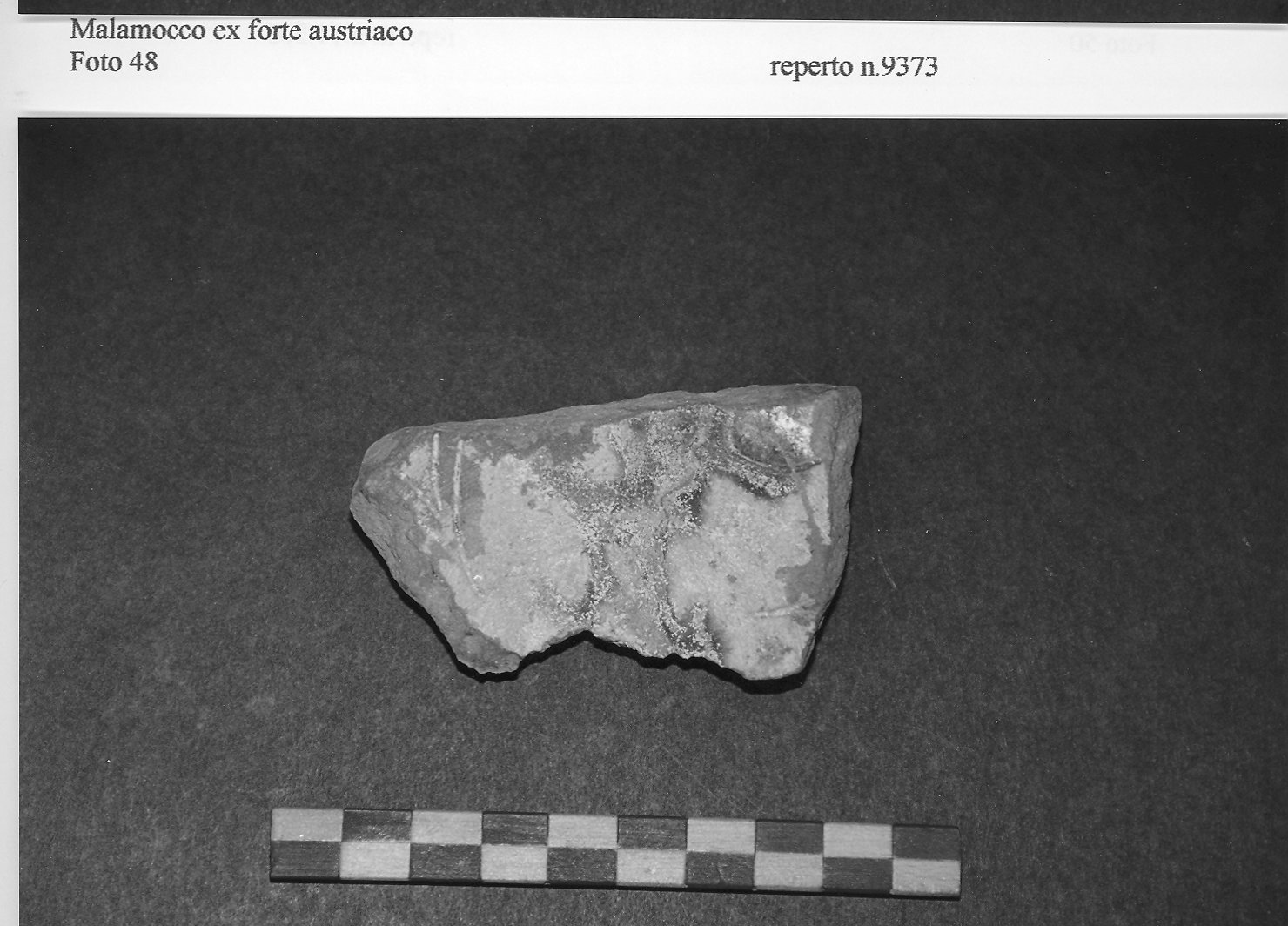 scodella, frammento - ambito veneto (fine/inizio secc. XIII/ XIV)