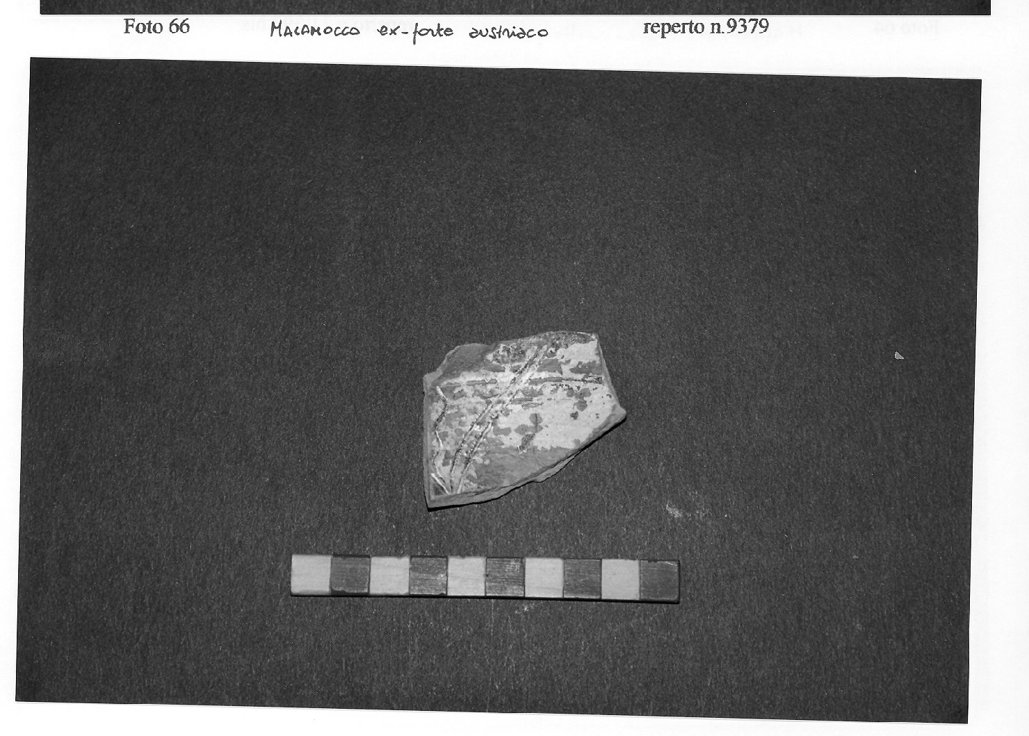 ciotola, frammento - ambito veneto (fine/inizio secc. XIII/ XIV)