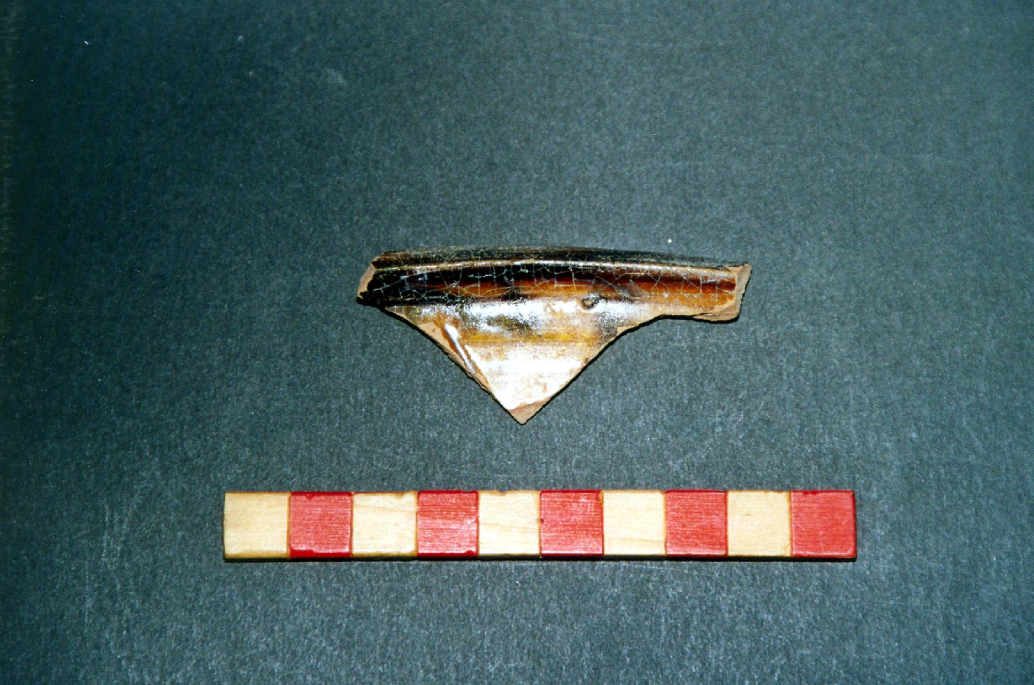 bacino, frammento - ambito veneto (fine/inizio secc. XIII/ XIV)