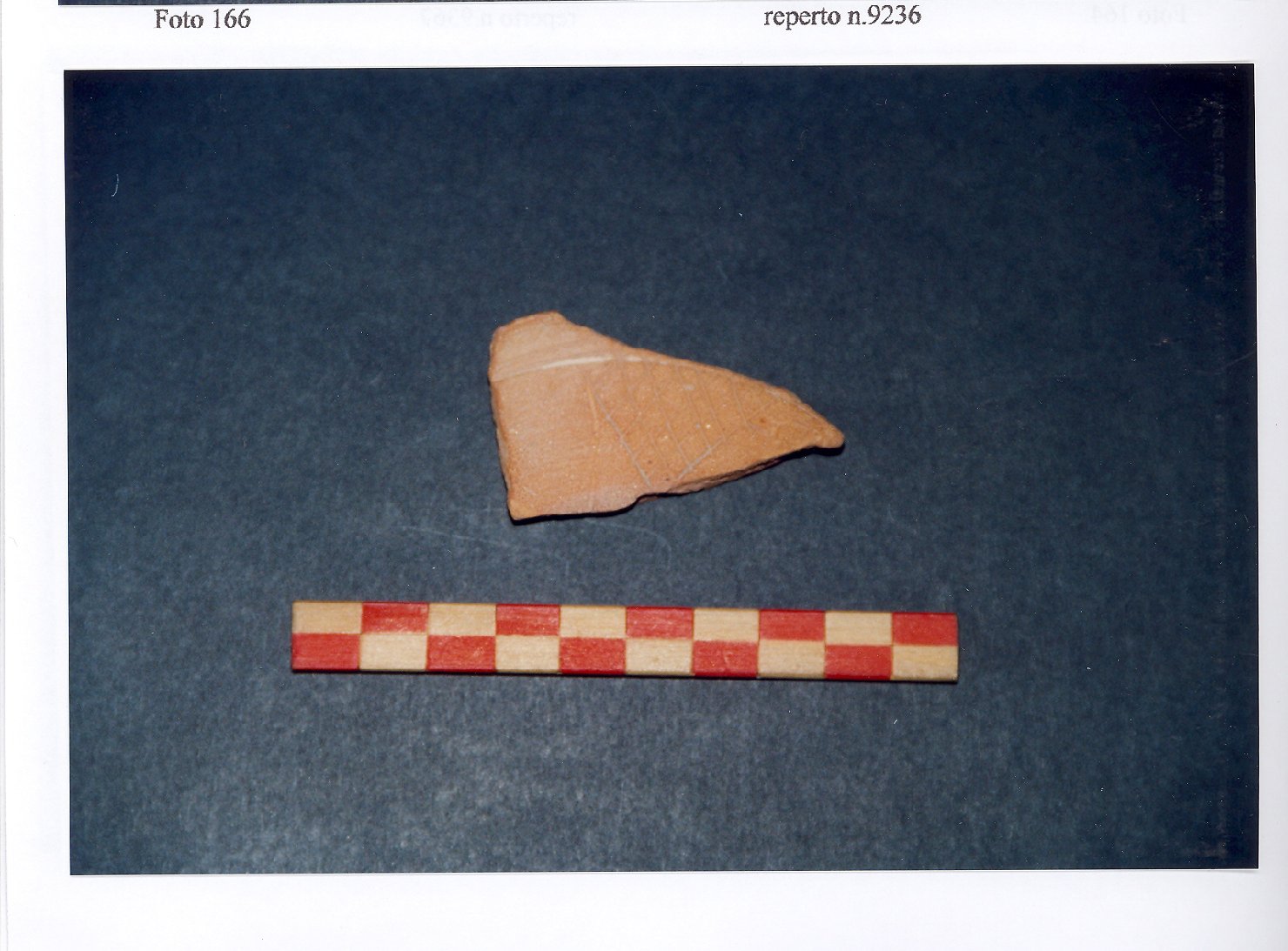 ciotola, frammento - ambito veneto (fine/inizio secc. XIII/ XIV)