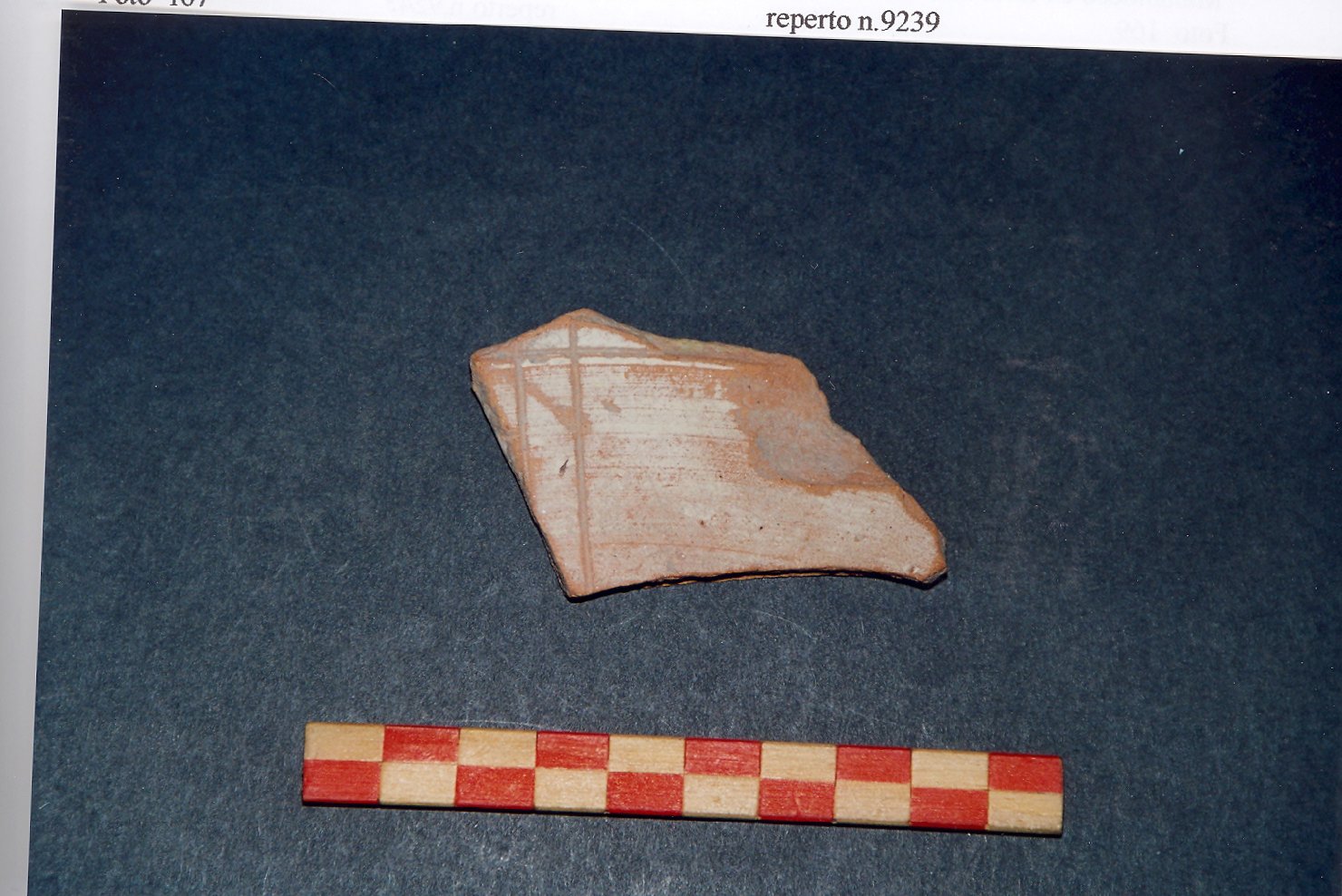 ciotola, frammento - ambito veneto (fine/inizio secc. XIII/ XIV)