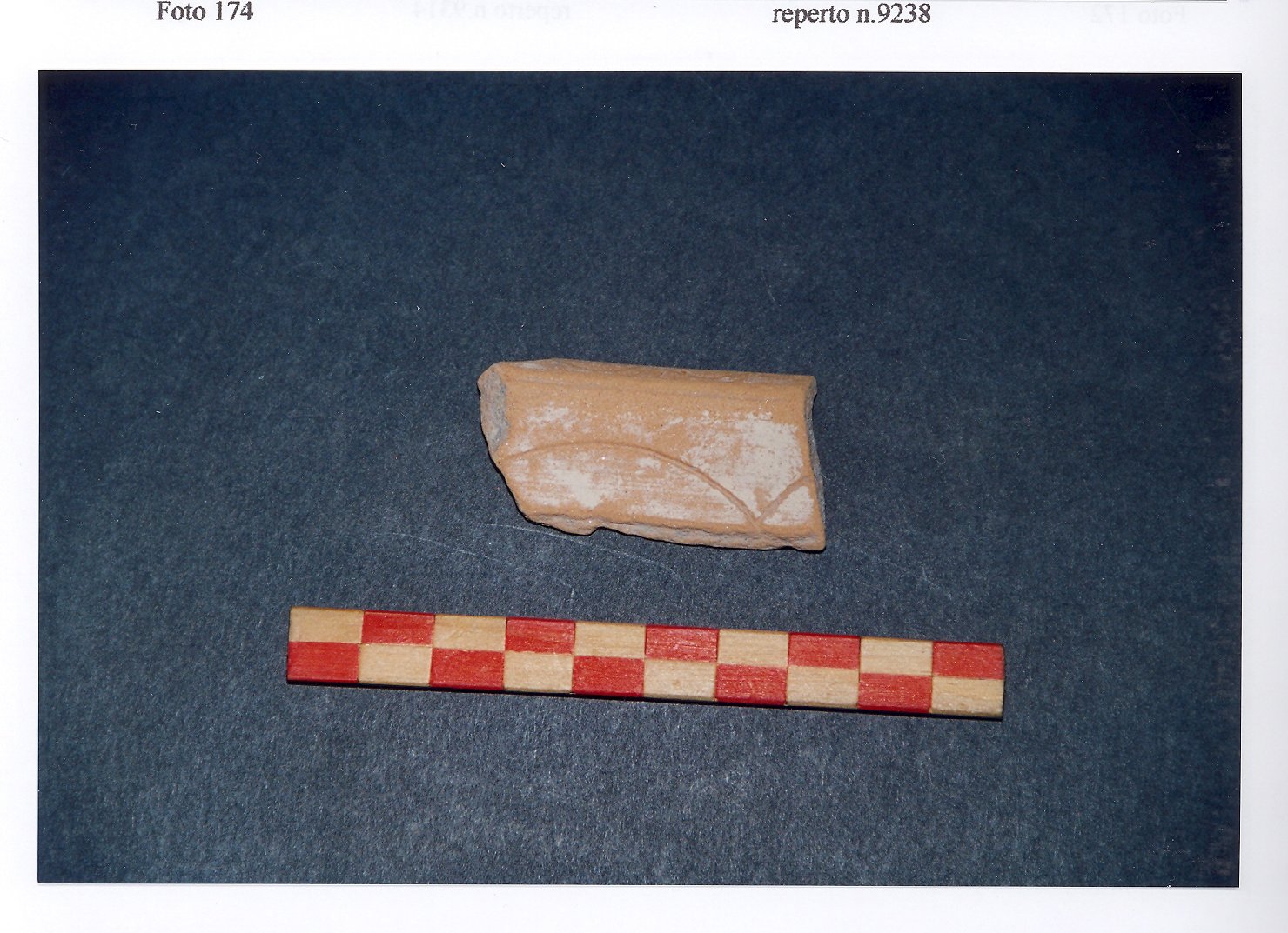 piatto, frammento - ambito veneto (fine/inizio secc. XIII/ XIV)