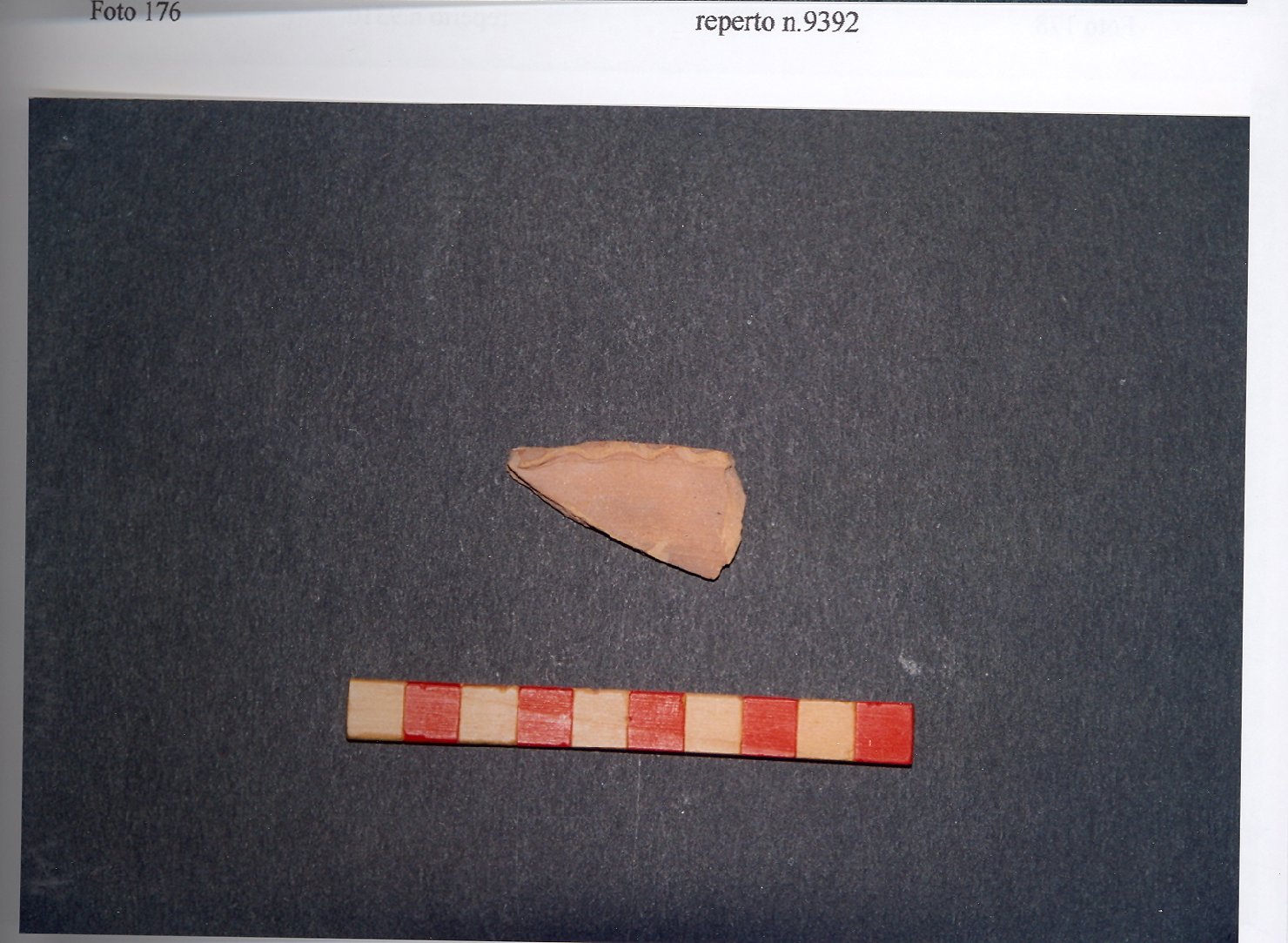 piatto, frammento - ambito veneto (fine/inizio secc. XIII/ XIV)