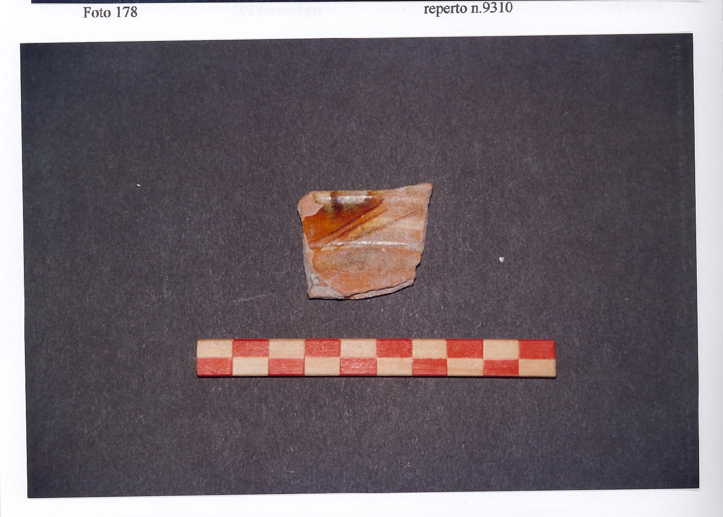 piatto, frammento - ambito veneto (fine/inizio secc. XIII/ XIV)