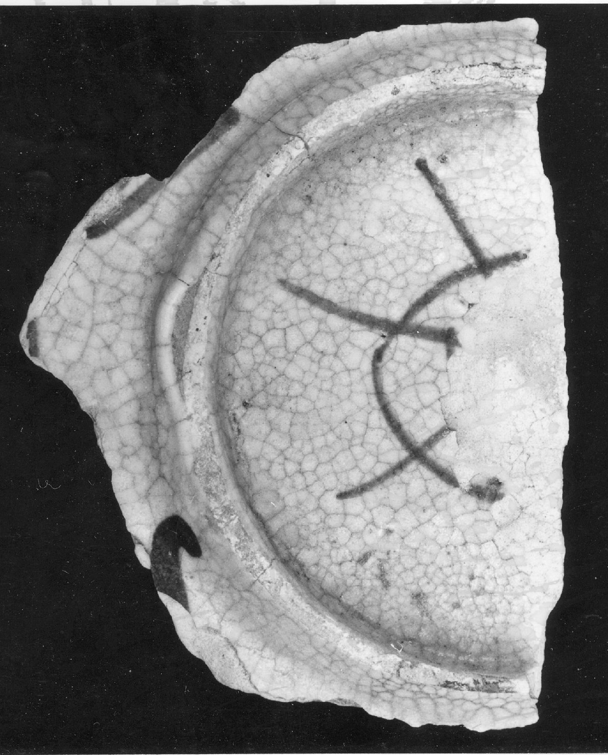 motivi decorativi (piatto, frammento) - ambito faentino (secc. XV/ XVI)