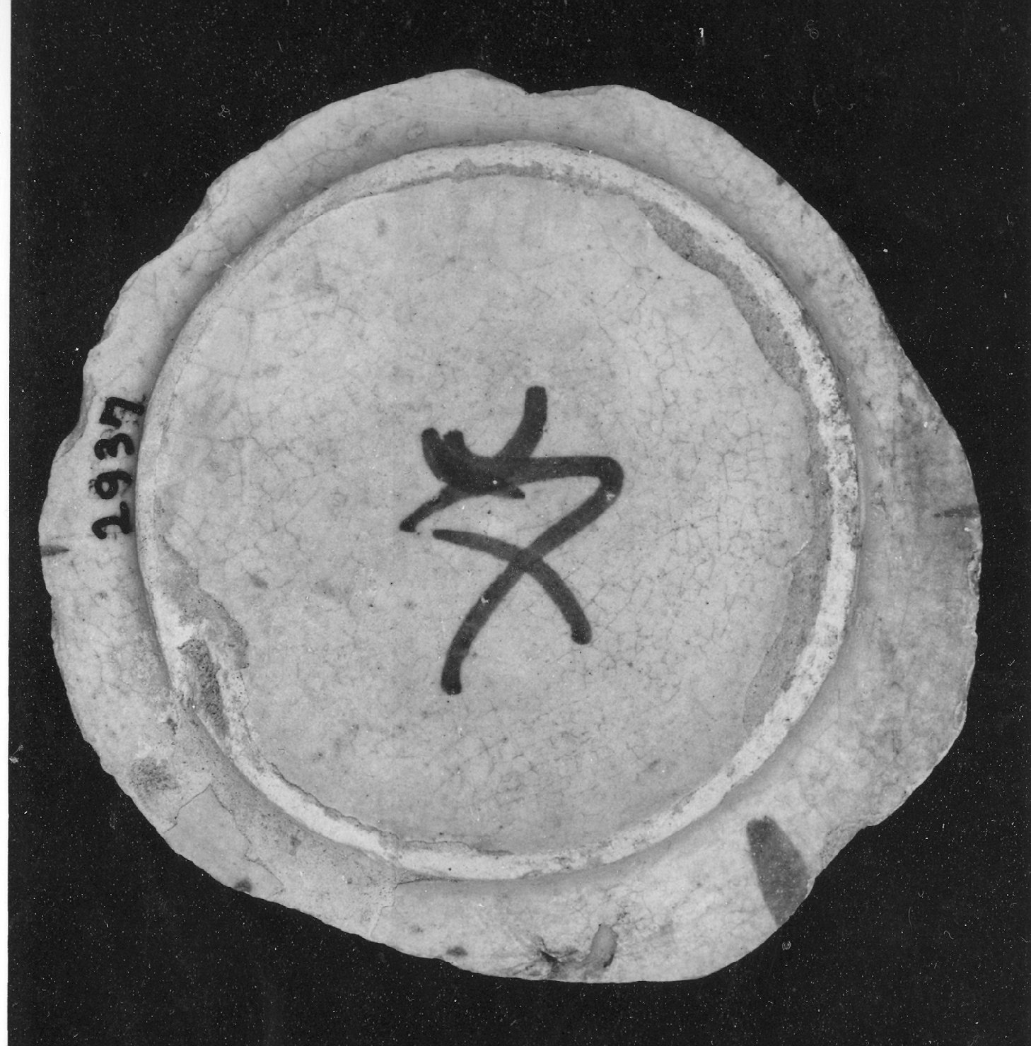 motivi decorativi (piatto, frammento) - ambito faentino (secc. XV/ XVI)