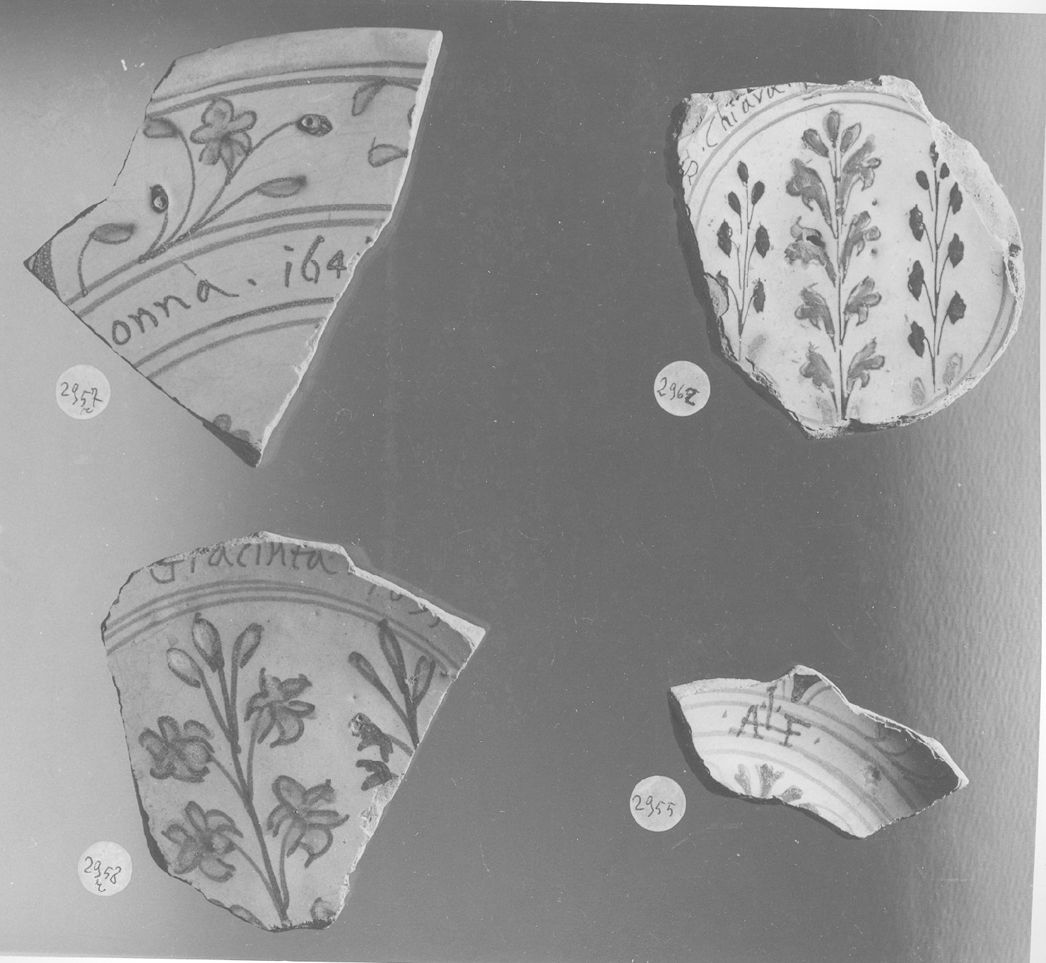 motivi decorativi (piatto, frammento) - ambito faentino (secc. XV/ XVI)