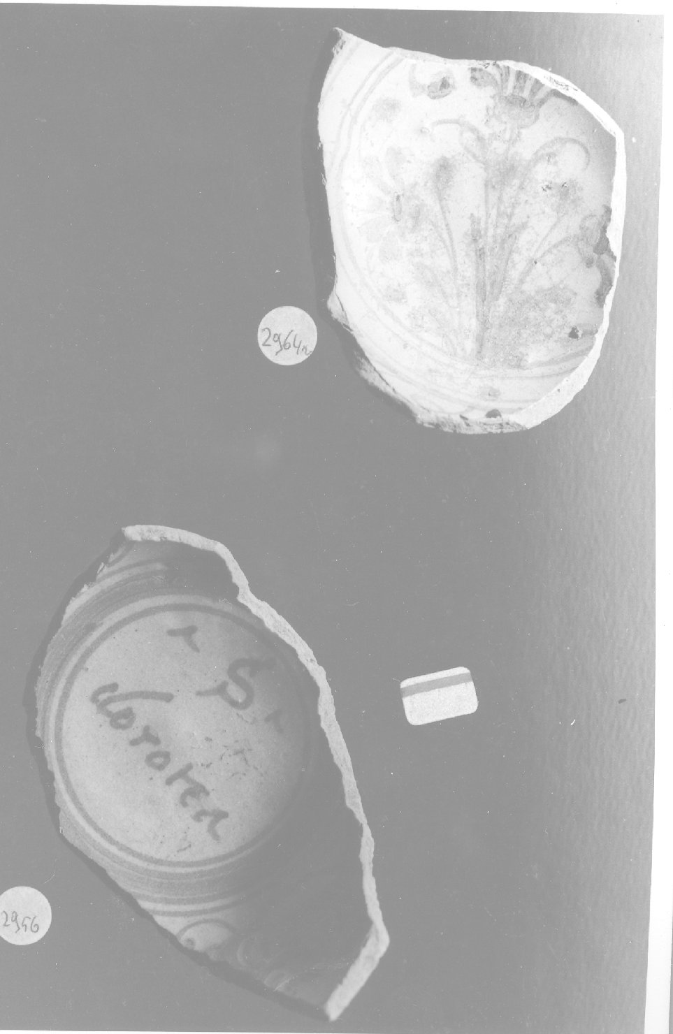 motivi decorativi (scodella, frammento) - ambito faentino (secc. XV/ XVI)