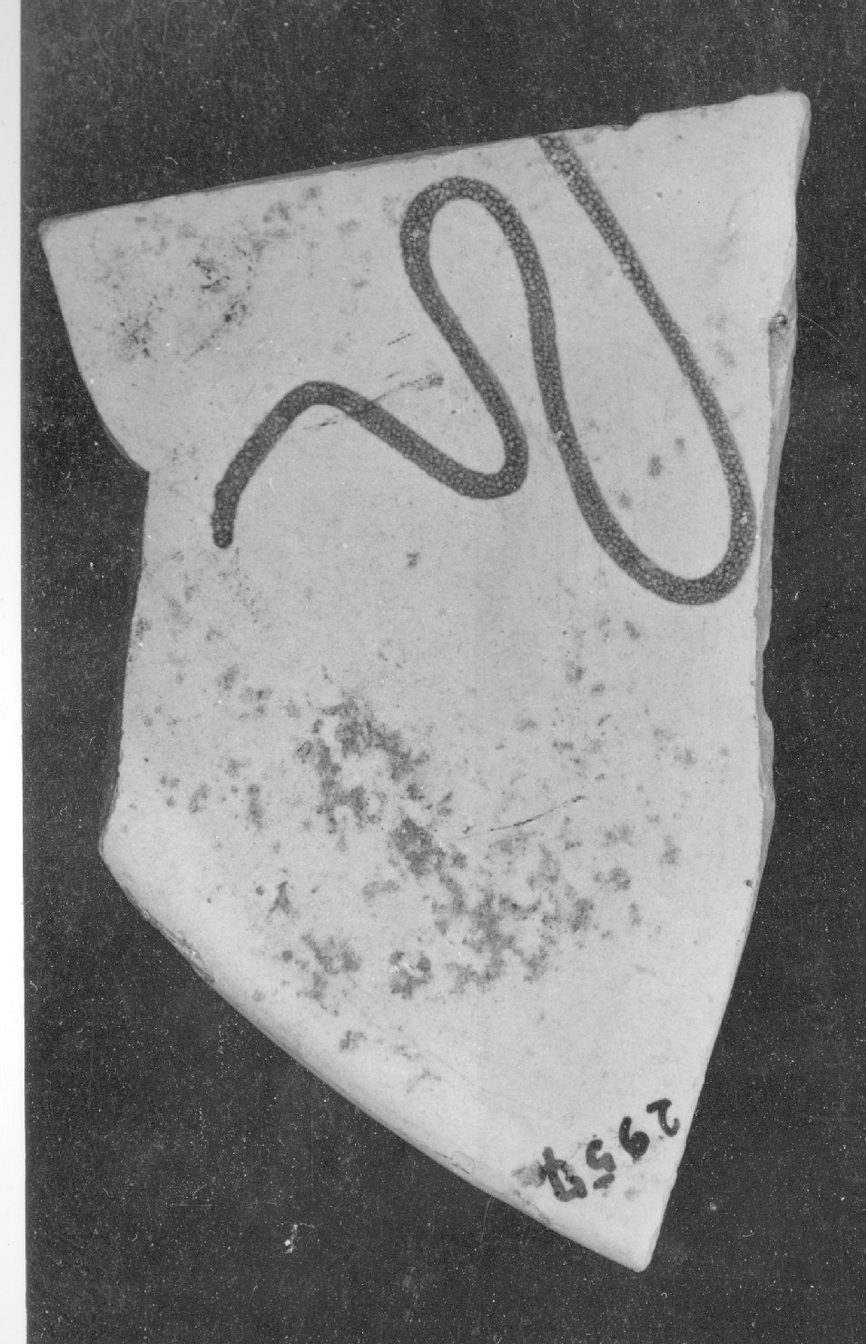 motivi decorativi (piatto, frammento) - ambito faentino (secc. XV/ XVI)