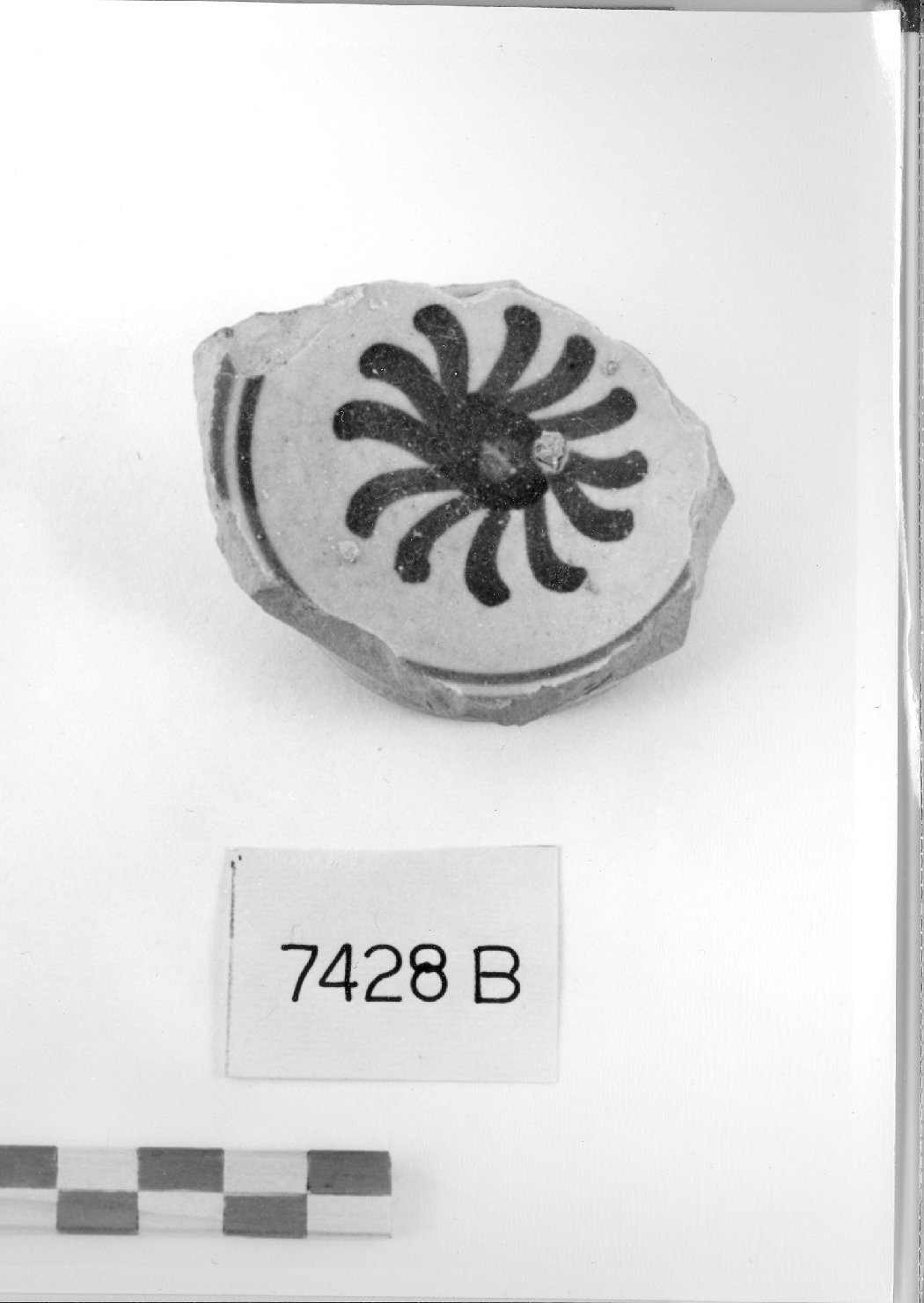 scodella, frammento - ambito faentino (sec. XVI)