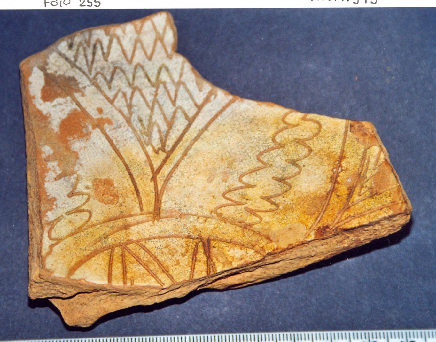 motivi decorativi vegetali (bacino, frammento) - manifattura veneziana (fine/inizio secc. XIII/ XIV)