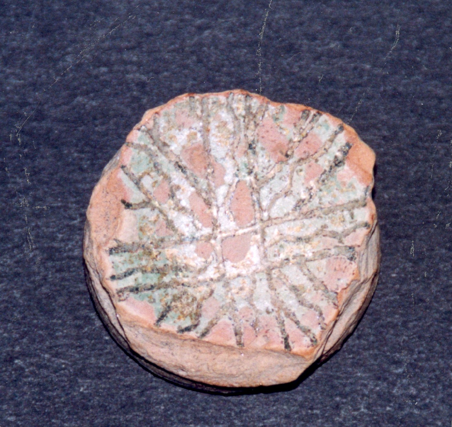 motivi decorativi geometrici (scodella, frammento) - manifattura veneziana (sec. XIV)