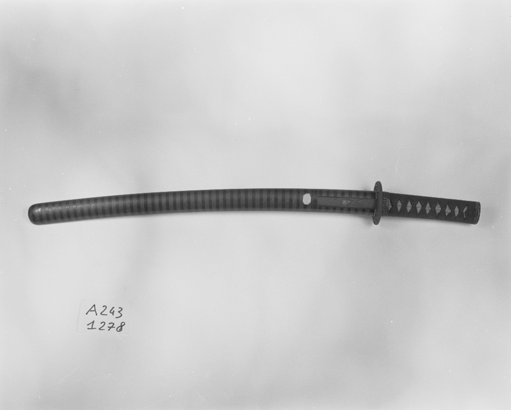 spada, serie di Tanehiro (sec. XVII)