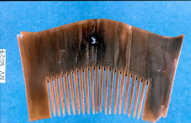 pettine, opera isolata - ambito Asia sud-orientale (secc. XVII/ XIX)