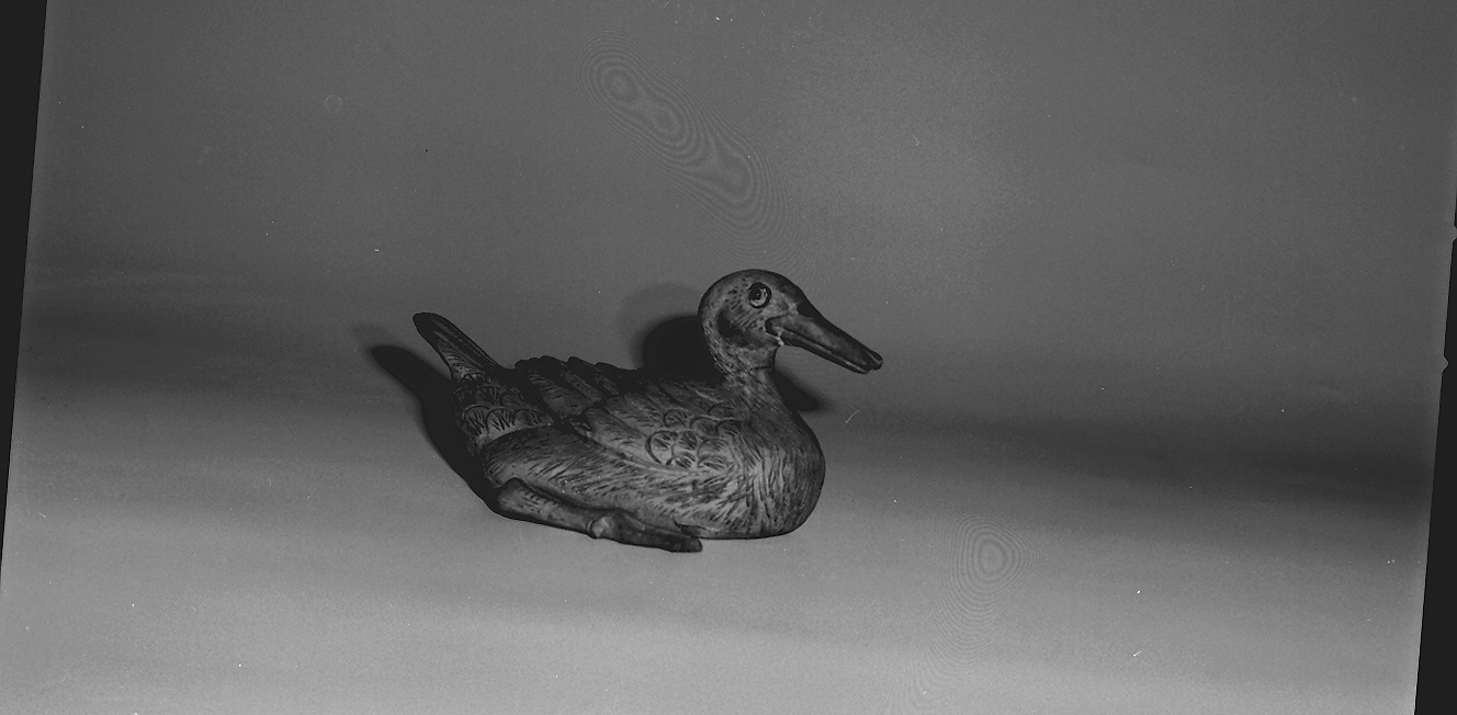 anatra (statuetta, opera isolata) - ambito giapponese (secc. XVIII/ XIX)