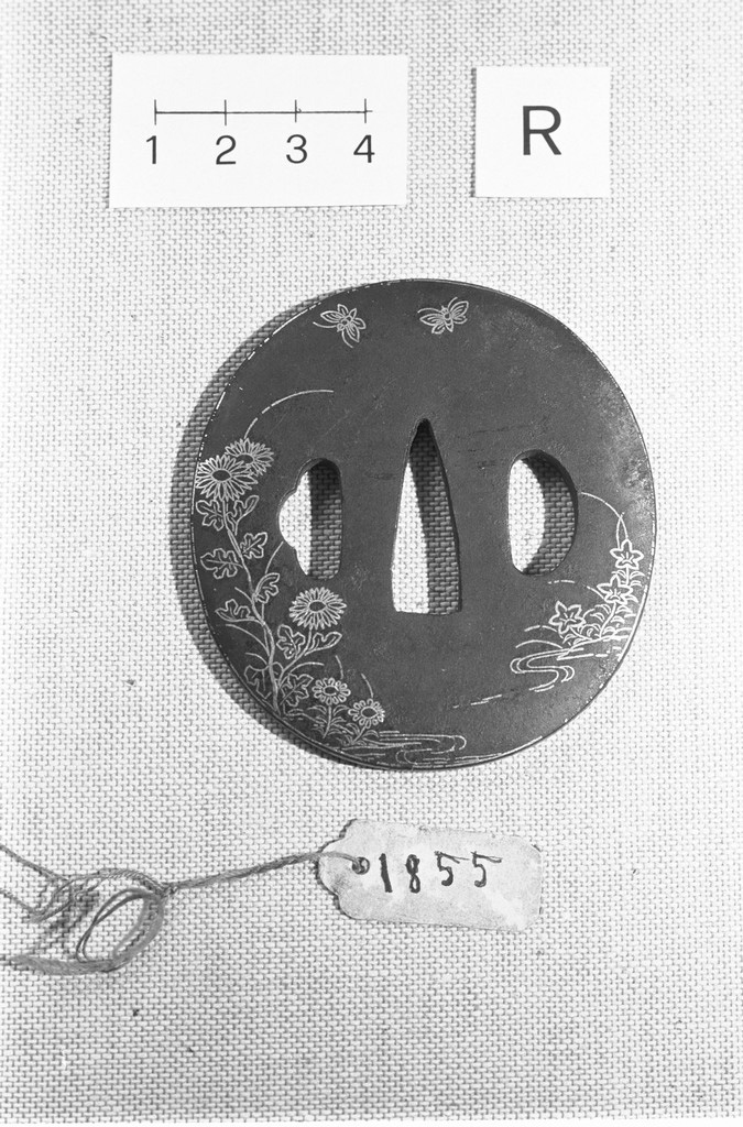 Fiori autunnali e farfalle, motivi decorativi vegetali e animali (placchetta di spada, insieme) - ambito giapponese (secc. XVIII/ XIX)