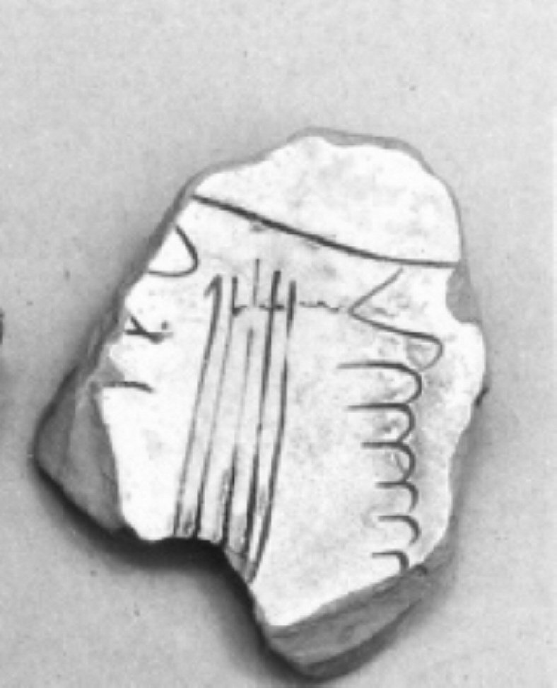 motivi decorativi geometrici e vegetali (scodella, frammento) - ambito veneto (seconda metà sec. XV)