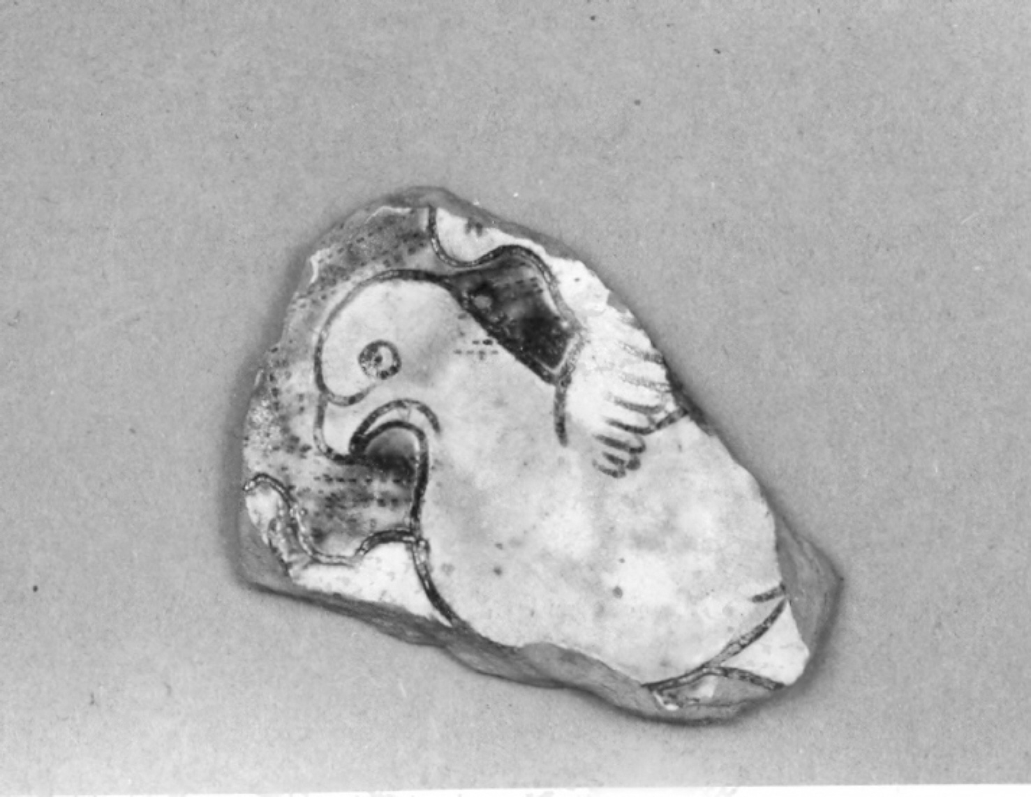 animali (catino, frammento) - ambito veneto (fine/inizio secc. XV/ XVI)