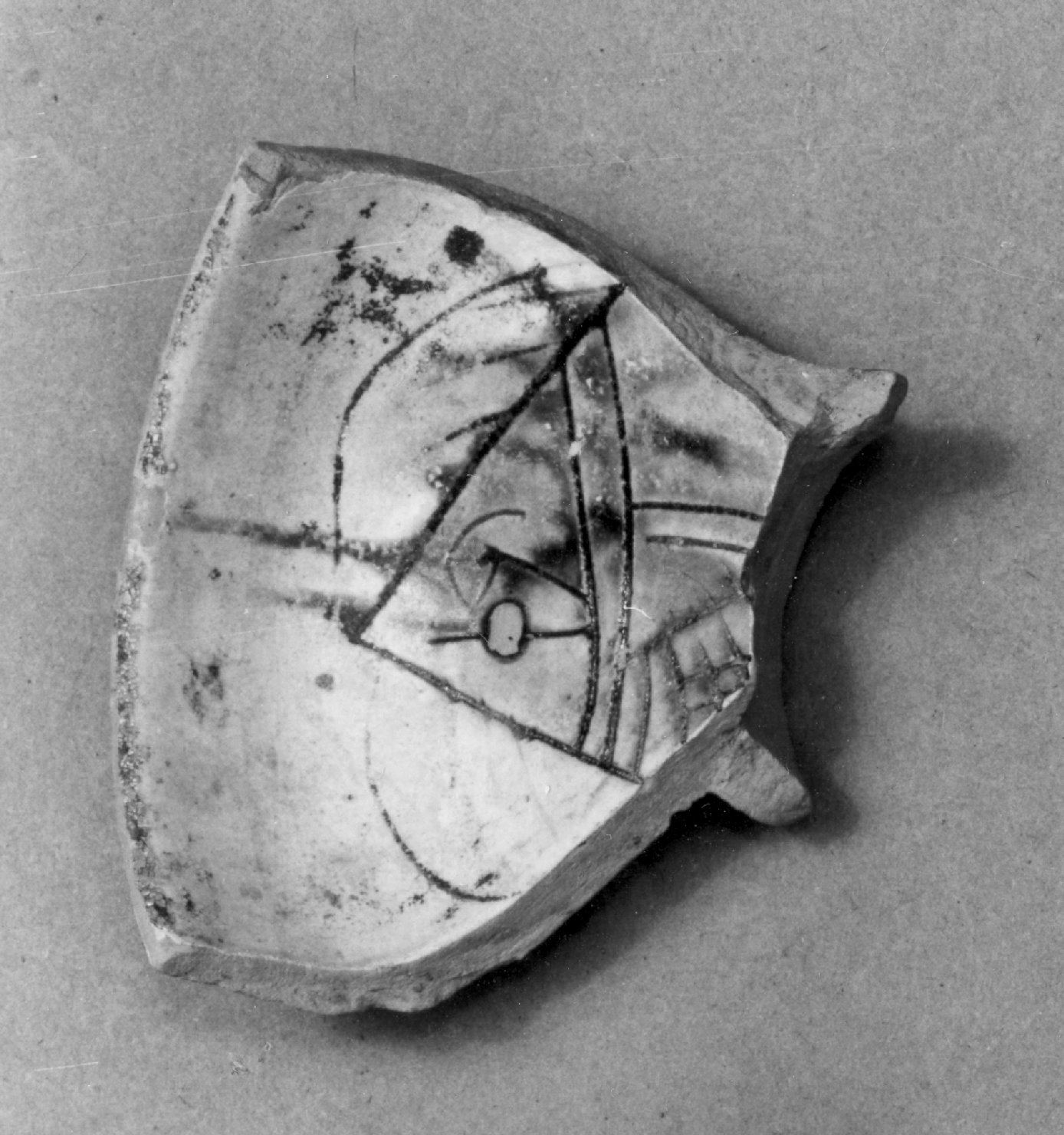 animali (scodella, frammento) - ambito veneto (prima metà sec. XVI)