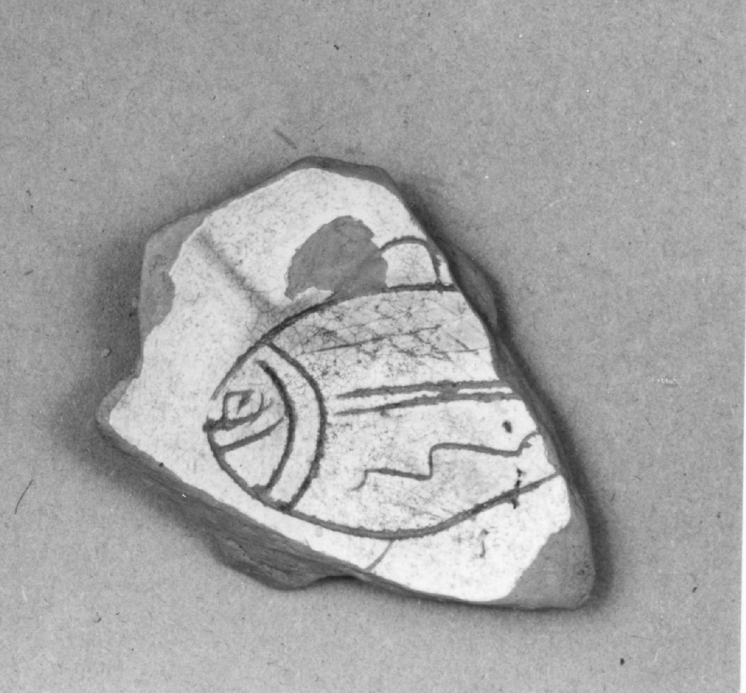 animali (scodella, frammento) - ambito veneto (prima metà sec. XVI)