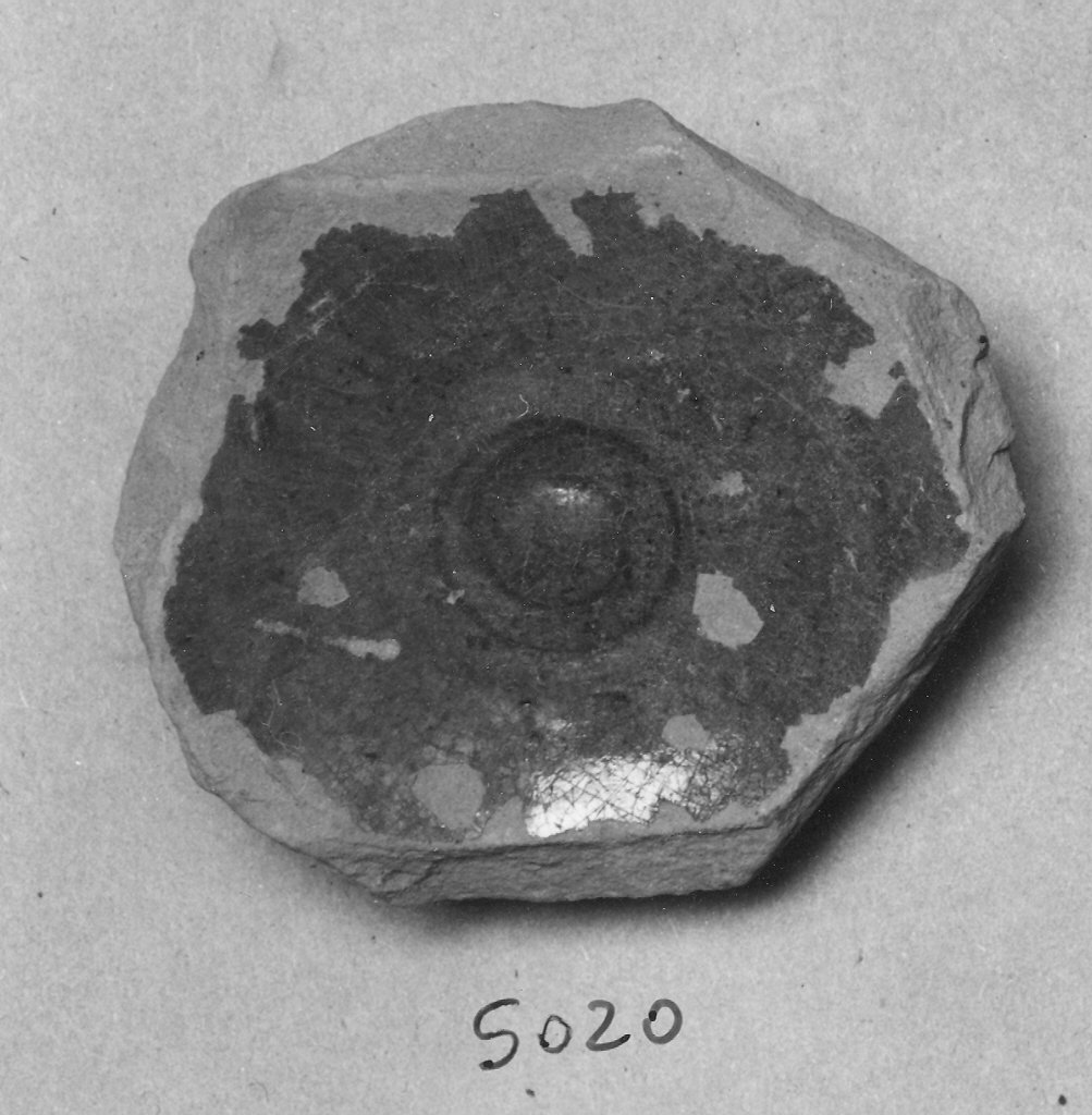 scodella, frammento - ambito veneziano (fine sec. XIII)