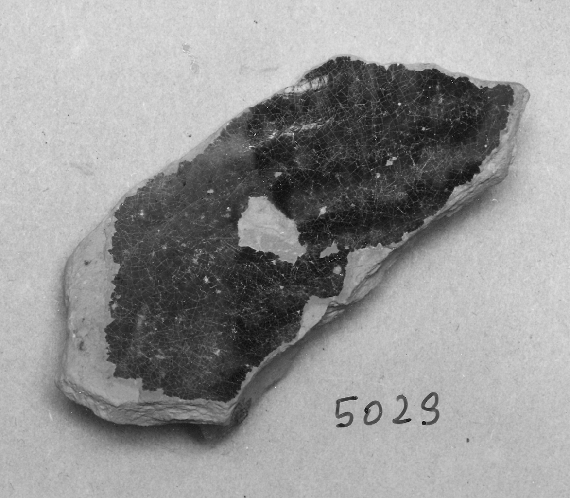 bacino, frammento - ambito veneziano (fine sec. XIII)