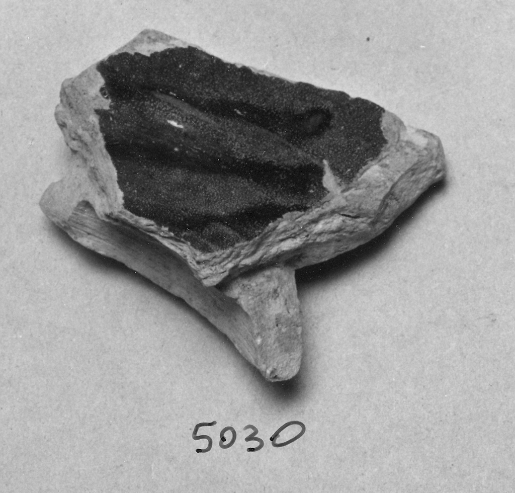 bacino, frammento - ambito veneziano (fine sec. XIII)