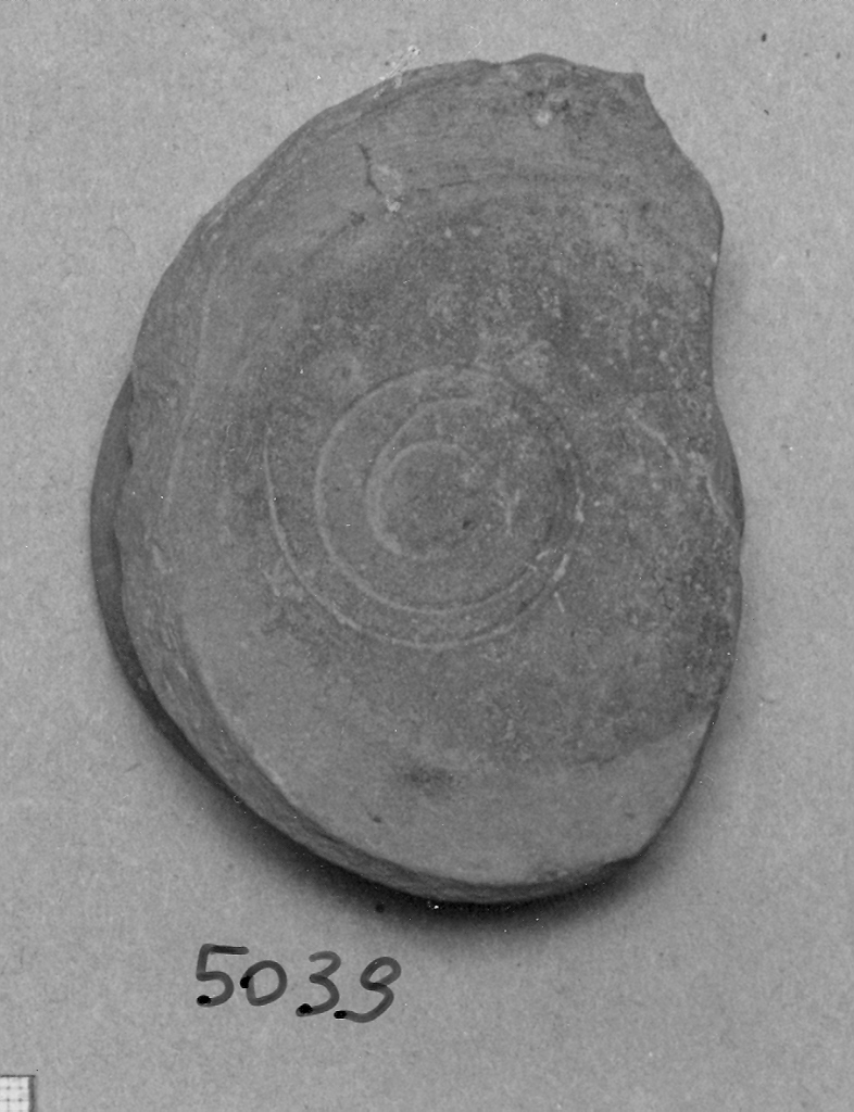 scodella, frammento - ambito veneziano (fine sec. XIII)