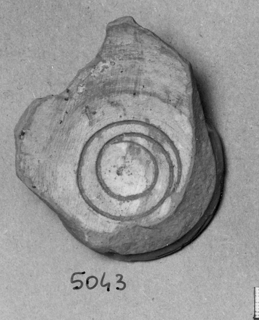 scodella, frammento - ambito veneziano (fine sec. XIII)