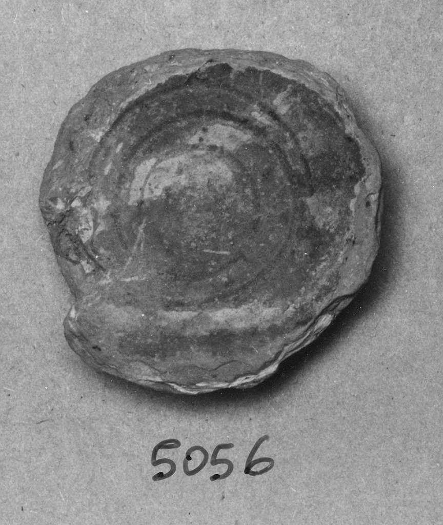 scodella, frammento - ambito veneziano (fine sec. XIII)