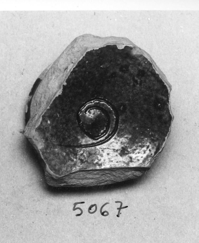 scodella, frammento - ambito veneziano (fine sec. XIII)