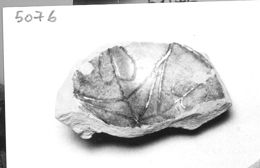 scodella, frammento - ambito veneziano (fine sec. XIII)