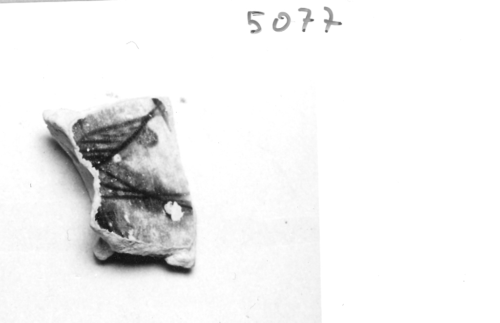 scodella, frammento - ambito veneziano (fine sec. XIII)