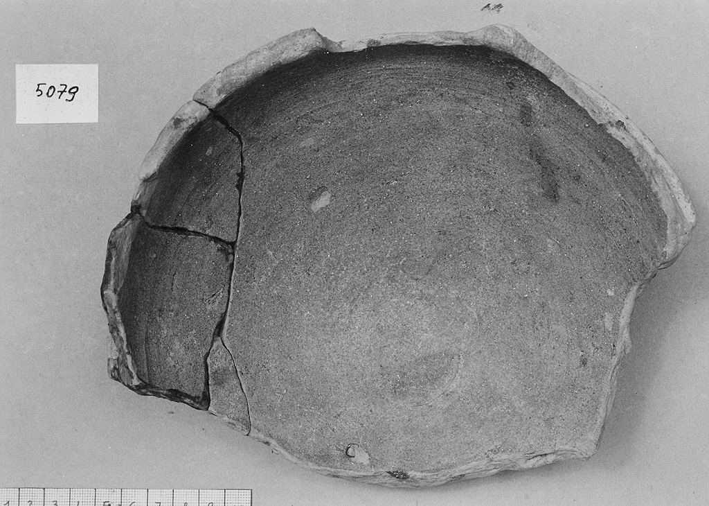 scodella, frammento - ambito veneziano (fine sec. XIII)