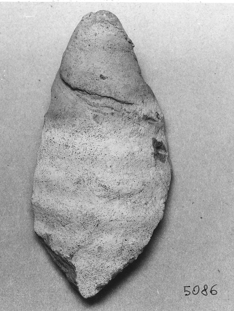 anfora, frammento - ambito bizantino (secc. VIII/ IX)