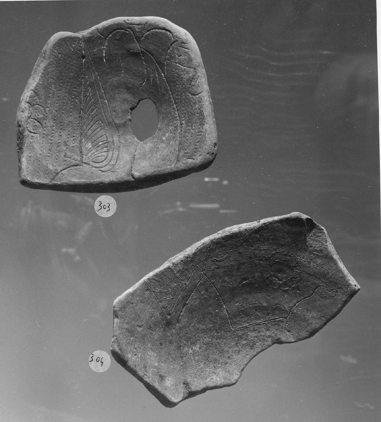 animali (piatto, frammento) - ambito veneto (secc. XV/ XVI)