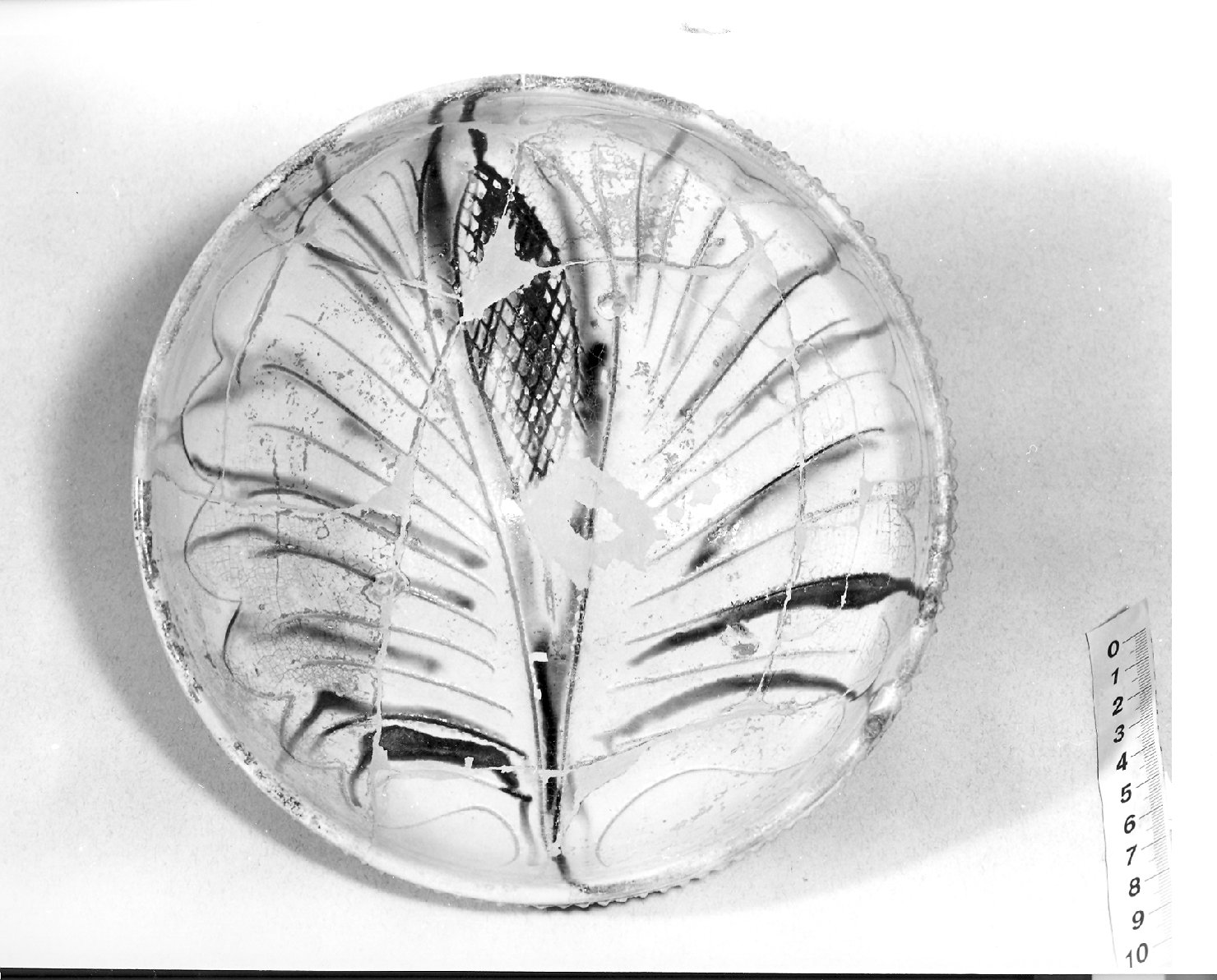 motivi decorativi (bacino, frammento) - ambito veneziano (secc. XIV/ XV)