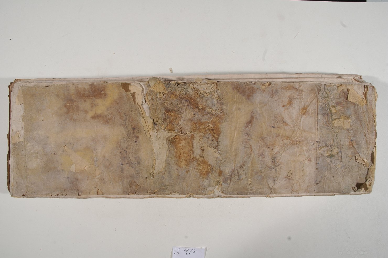 album, opera isolata - ambito tibetano (secc. XVII/ XIX)
