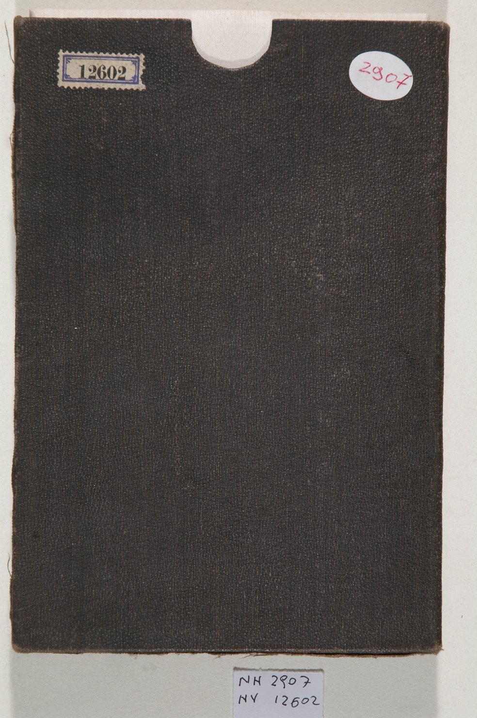 album, opera isolata - ambito giapponese (secc. XVII/ XIX)