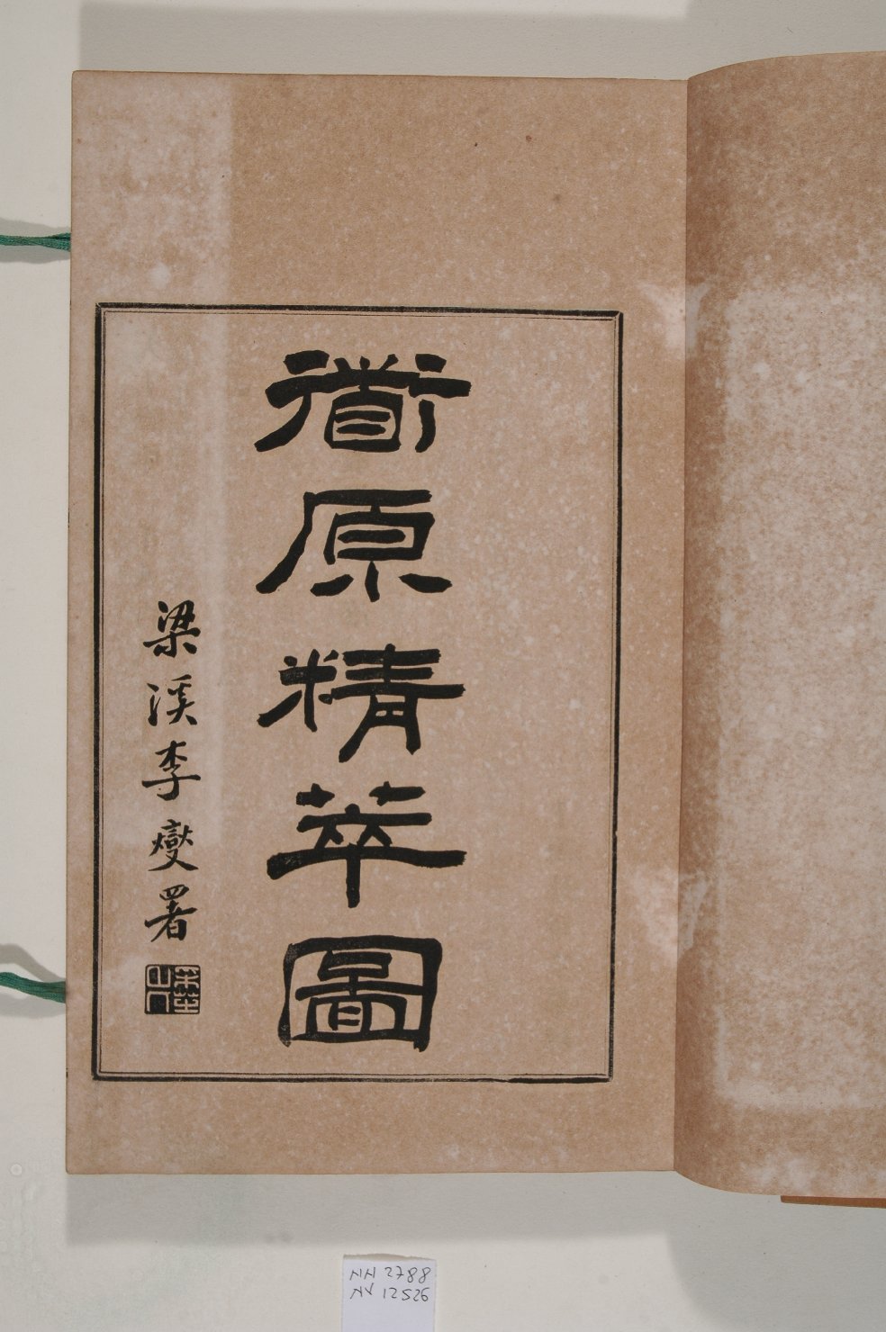 elementi decorativi (album, opera isolata) - ambito cinese (secc. XVII/ XIX)