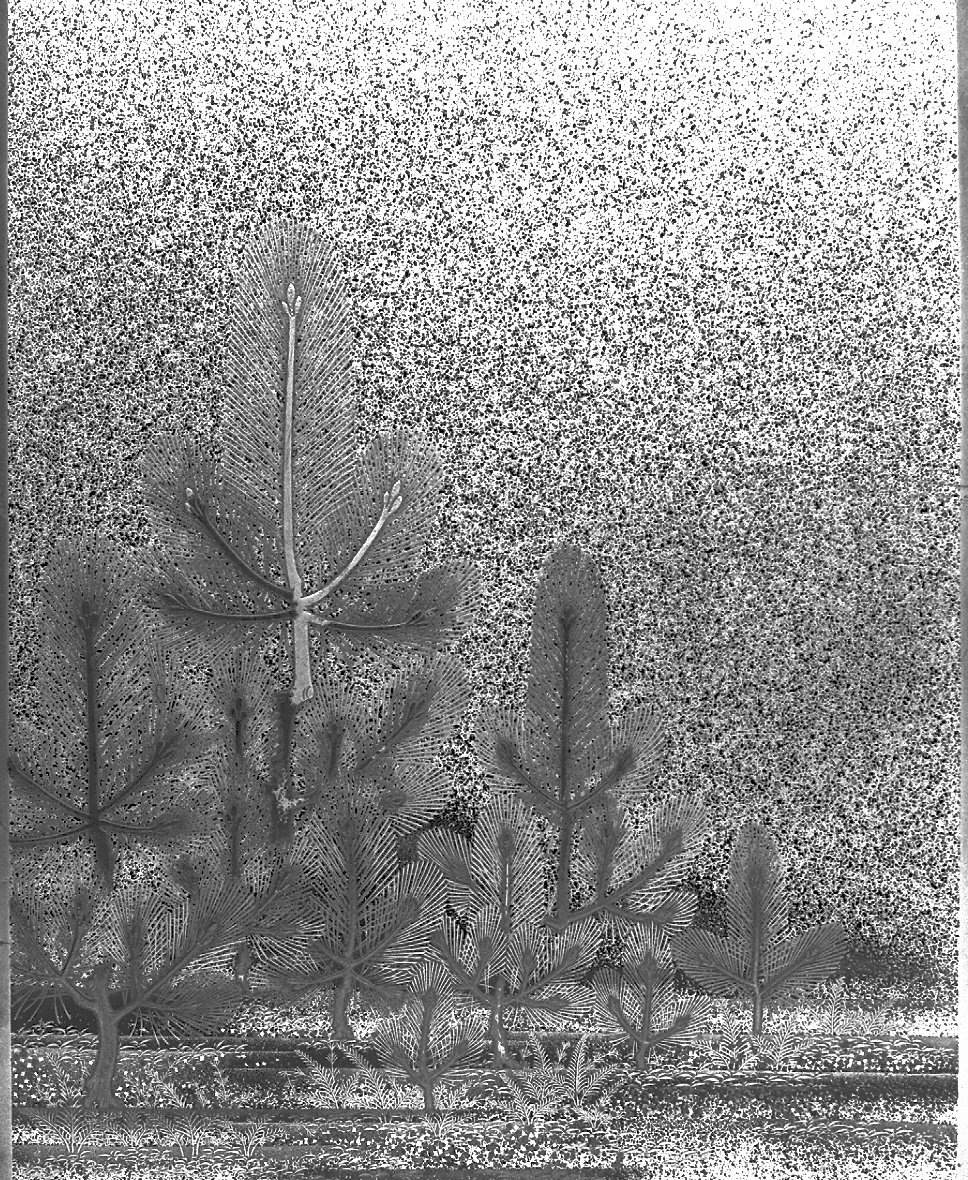 motivi decorativi (servizio per scrivere, opera isolata) - ambito giapponese (secc. XVII/ XIX)