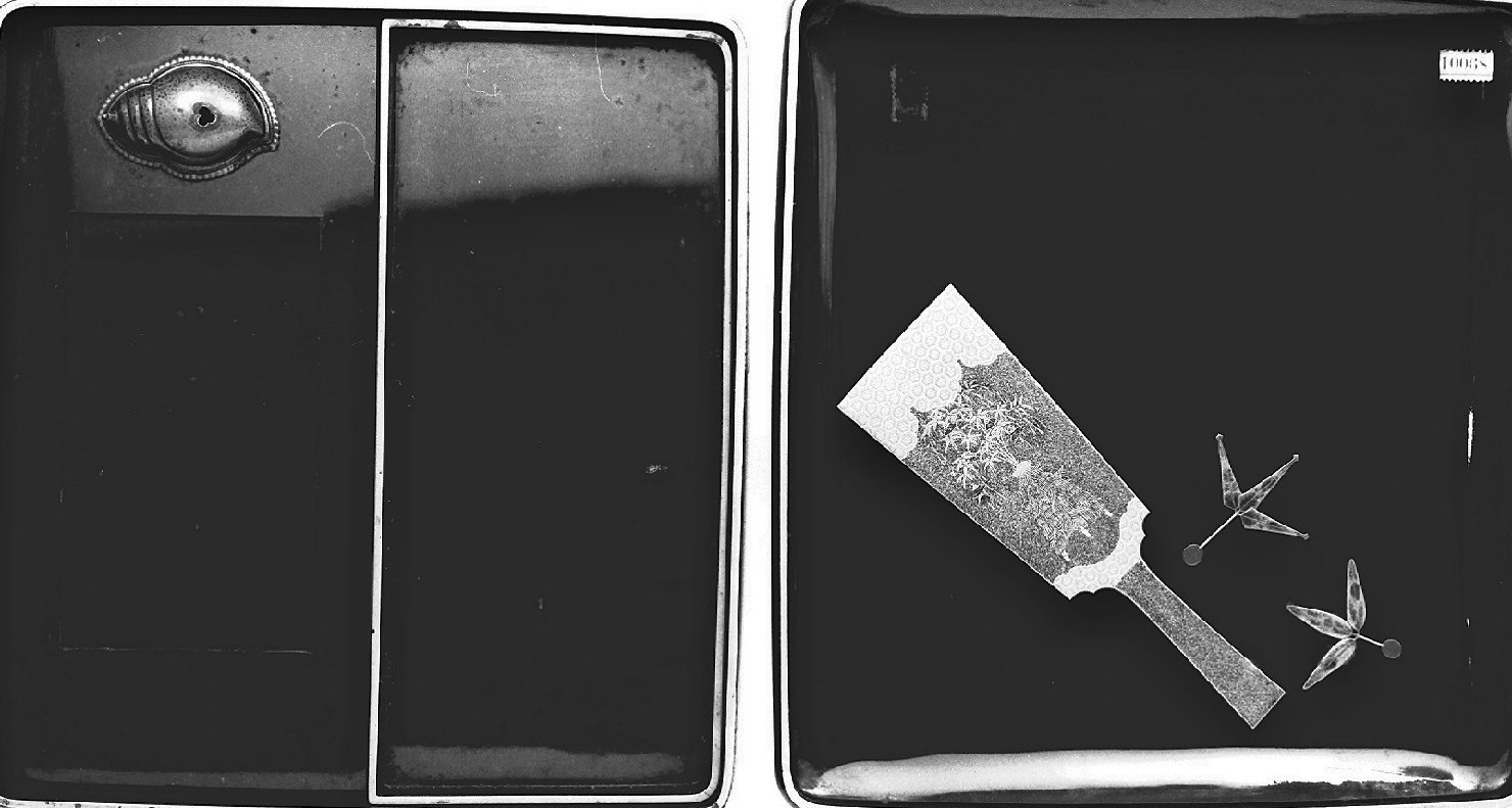 motivi decorativi (servizio per scrivere, opera isolata) - ambito giapponese (secc. XVII/ XIX)