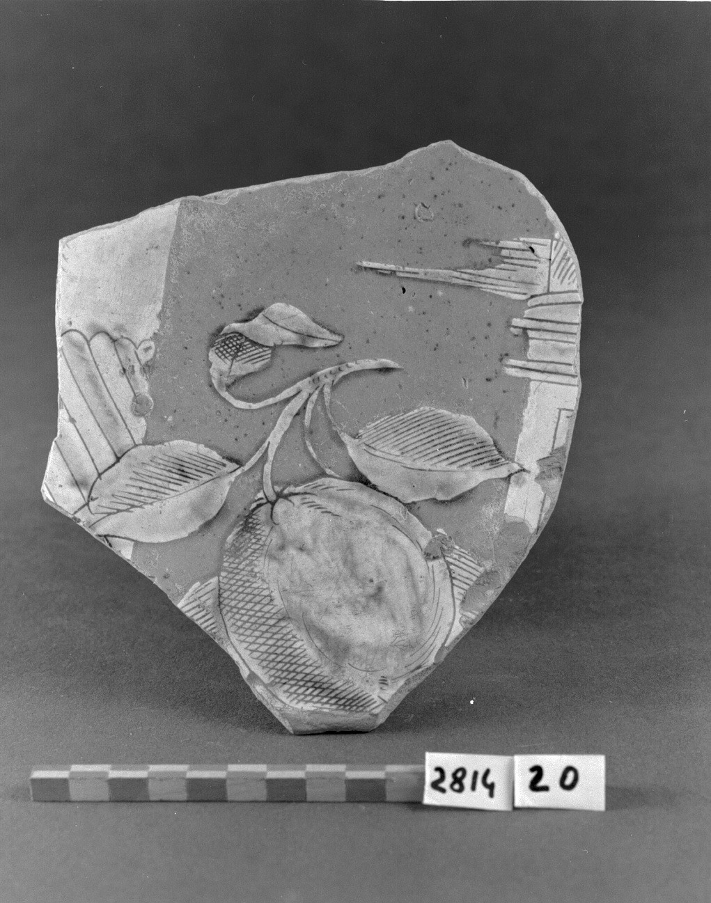 motivi decorativi vegetali (piatto, frammento) - produzione veneziana, produzione veneziana, produzione veneziana (sec. XVI)