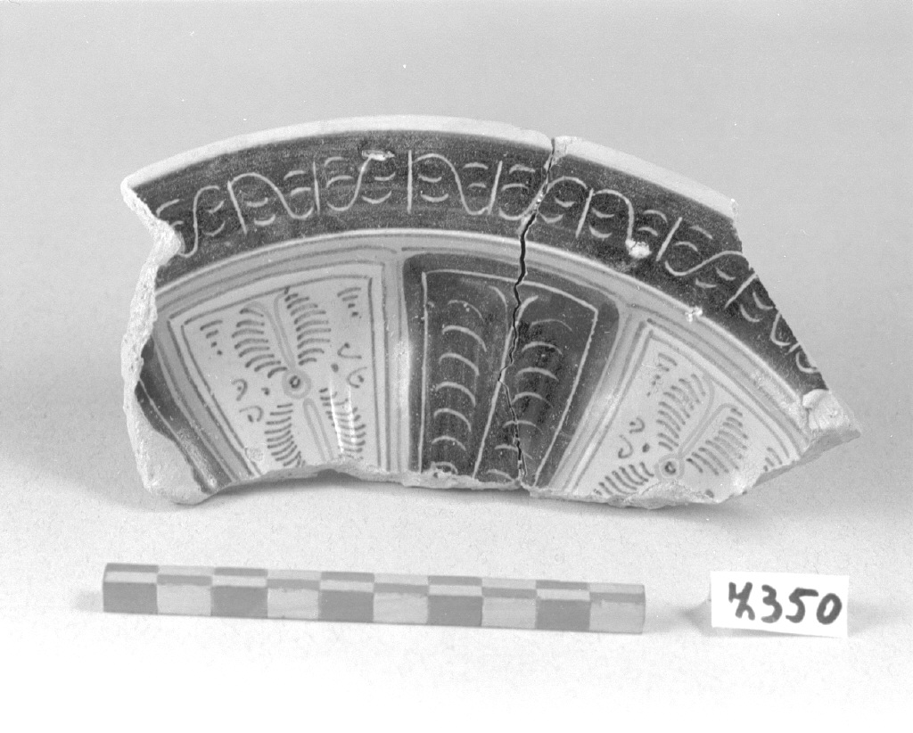 motivo decorativo (crespina, frammento) - bottega faentina (secc. XV/ XVI)