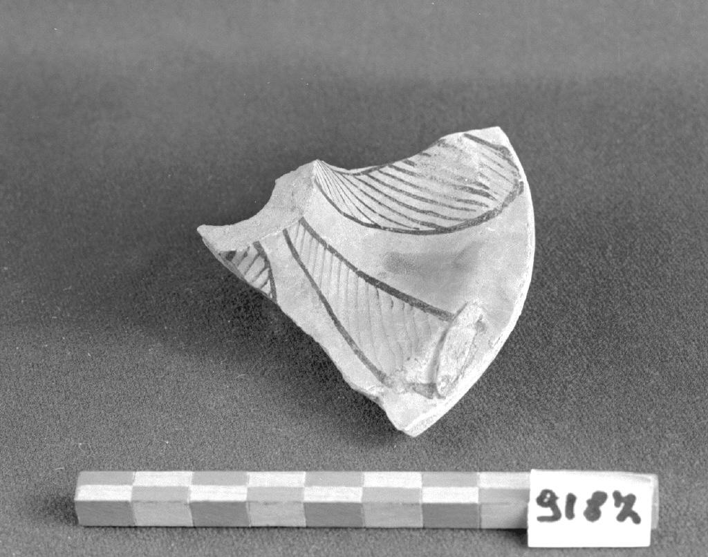 motivi decorativi (vaso, frammento) - produzione Italia centro-settentrionale (secc. XIII/ XIV)