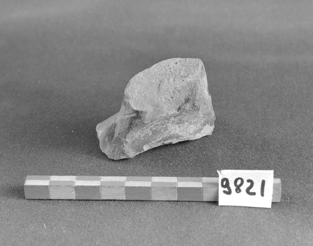 scodella, frammento - produzione veneziana (secc. IX/ XII)